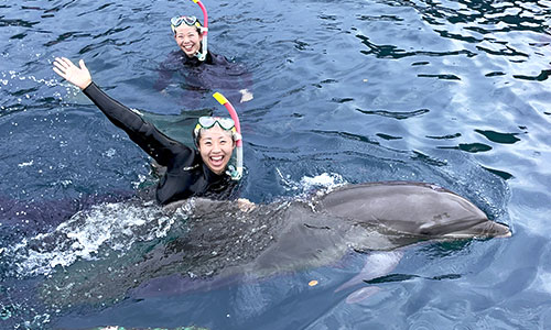 ドルフィンスイム