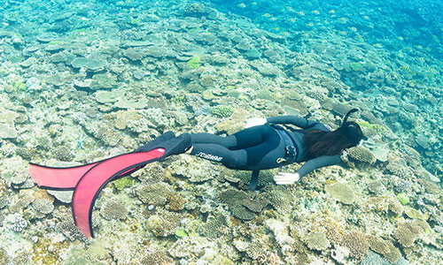 フリーダイビング