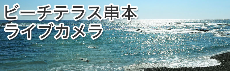 ライブカメラ&動画