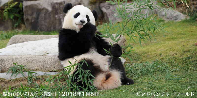 アドベンチャーワールド